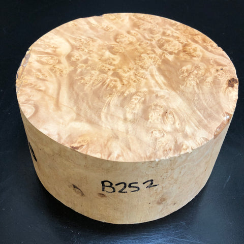 6"x3" KD Maple Burl Wood Bowl Turning Blank (#00252)