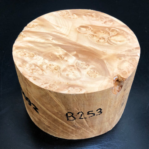 5"x3" KD Maple Burl Wood Bowl Turning Blank (#00253)