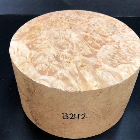 8"x4" KD Maple Burl Wood Bowl Turning Blank (#00242)