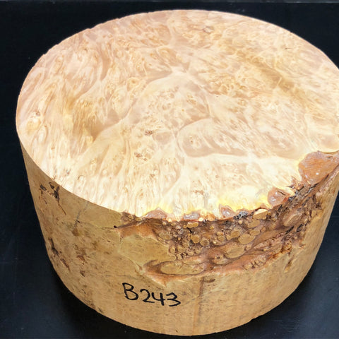 8"x4" KD Maple Burl Wood Bowl Turning Blank (#00243)