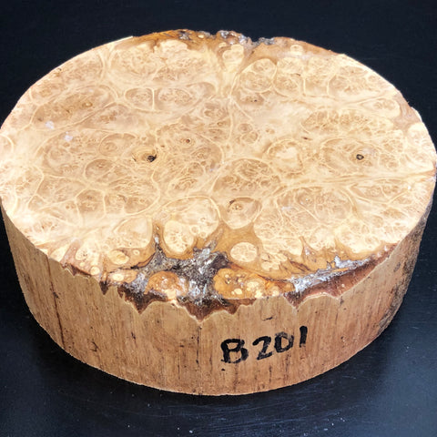 7"x2" KD Maple Burl Wood Platter Turning Blank (#00201)
