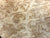 7"x2" KD Maple Burl Wood Platter Turning Blank (#00201)