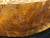 12"x3" Thuya Burl Wood Bowl Turning Blank (#002)