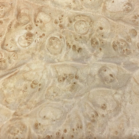 Kiln Dried Maple Burl