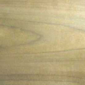 Kiln Dried Tulip Poplar