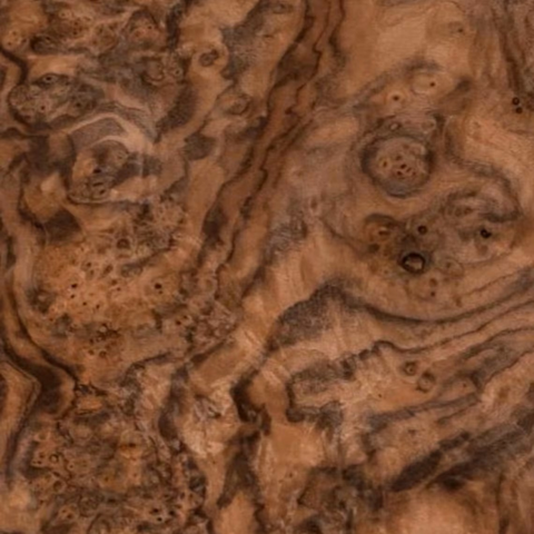Claro Walnut Burl
