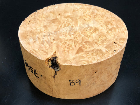 9"x3" KD Maple Burl Wood Bowl Turning Blank (#009)