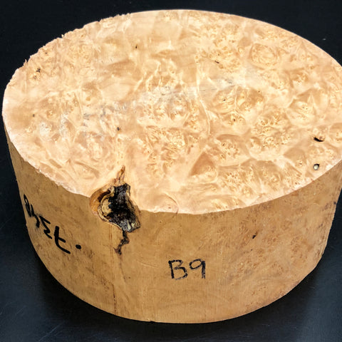 9"x3" KD Maple Burl Wood Bowl Turning Blank (#009)