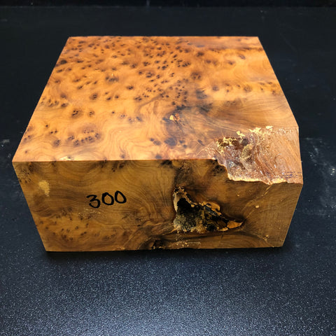 6"x6"x3 Thuya Burl Wood Turning Blank (#00300)