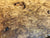 7"x3" KD Maple Burl Wood Bowl Turning Blank (#0034)
