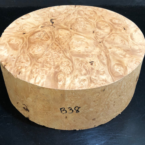 9"x3" KD Maple Burl Wood Bowl Turning Blank (#0038)