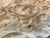 9"x3" KD Maple Burl Wood Bowl Turning Blank (#0038)