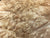 7"x3" KD Maple Burl Wood Bowl Turning Blank (#0040)