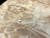 7"x3" KD Maple Burl Wood Bowl Turning Blank (#0040)