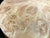 7"x3" KD Maple Burl Wood Bowl Turning Blank (#0040)