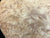 7"x3" KD Maple Burl Wood Bowl Turning Blank (#00184)