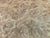 7"x3" KD Maple Burl Wood Bowl Turning Blank (#00184)