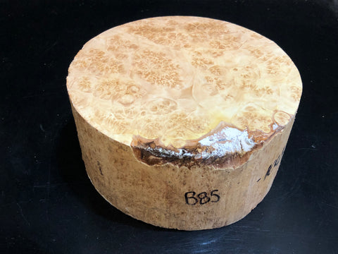 7"x3" KD Maple Burl Wood Bowl Turning Blank (#00185)
