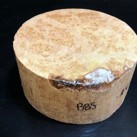 7"x3" KD Maple Burl Wood Bowl Turning Blank (#00185)
