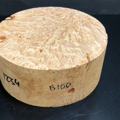 8"x3" KD Maple Burl Wood Bowl Turning Blank (#00100)