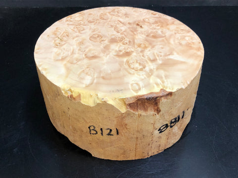 7"x3" KD Maple Burl Wood Bowl Turning Blank (#00121)