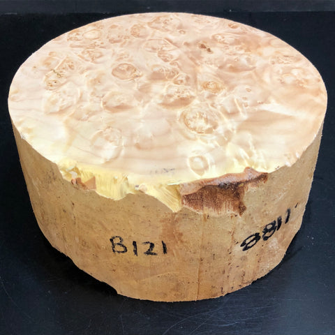 7"x3" KD Maple Burl Wood Bowl Turning Blank (#00121)