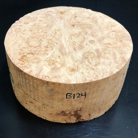 7"x3" KD Maple Burl Wood Bowl Turning Blank (#00124)