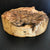 12"x4" KD Yellow Cedar Burl Cap (max height) Wood Bowl Turning Blank (#0016)