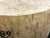9"x3" KD Maple Burl Wood Bowl Turning Blank (#0017)