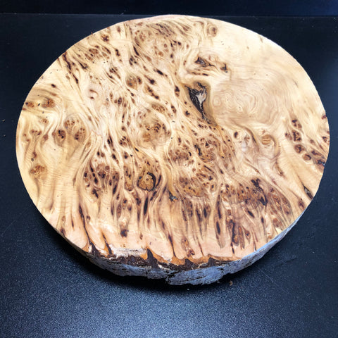 10"x2.5" KD Yellow Cedar Burl Cap (max height) Wood Bowl Turning Blank (#0018)