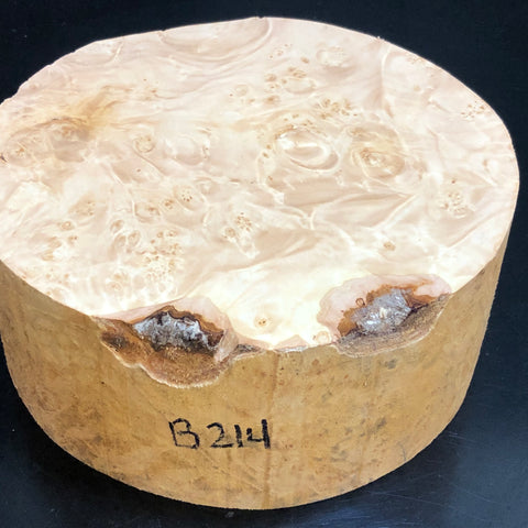 8"x3" KD Maple Burl Wood Bowl Turning Blank (#00214)