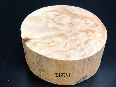 8"x3" KD Maple Burl Wood Bowl Turning Blank (#00215)
