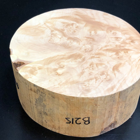 8"x3" KD Maple Burl Wood Bowl Turning Blank (#00215)