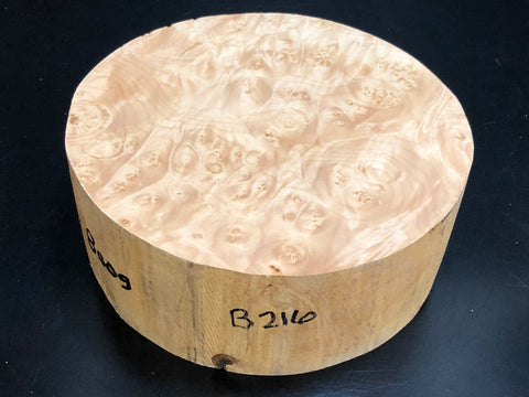 8"x3" KD Maple Burl Wood Bowl Turning Blank (#00216)