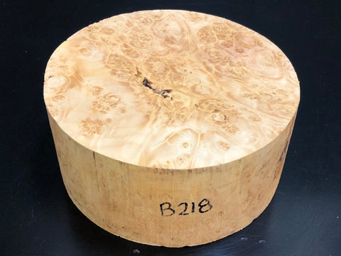7"x3" KD Maple Burl Wood Bowl Turning Blank (#00218)