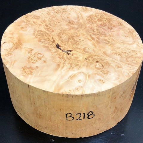 7"x3" KD Maple Burl Wood Bowl Turning Blank (#00218)