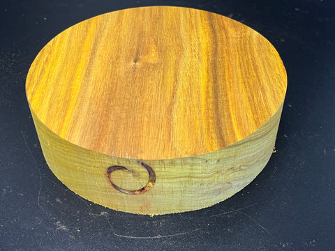 7"x2" KD Exhibition Grade Canarywood Wood Bowl Turning Blank (#00221)