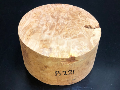 6"x3" KD Maple Burl Wood Bowl Turning Blank (#00221)
