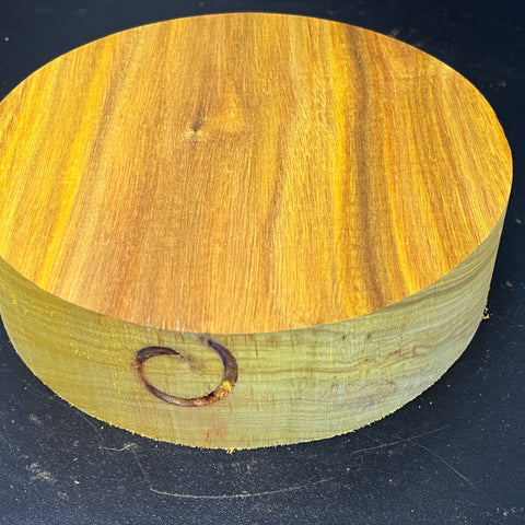7"x2" KD Exhibition Grade Canarywood Wood Bowl Turning Blank (#00221)