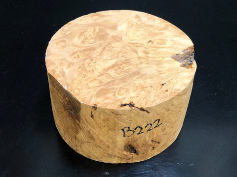 6"x3" KD Maple Burl Wood Bowl Turning Blank (#00222)