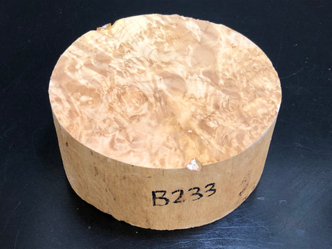 5"x2" KD Maple Burl Wood Bowl Turning Blank (#00233)