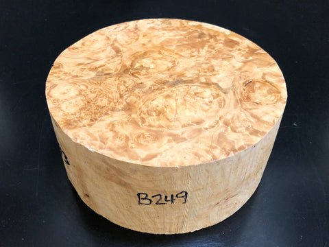 7"x3" KD Maple Burl Wood Bowl Turning Blank (#00249)