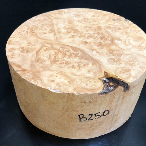 7"x3" KD Maple Burl Wood Bowl Turning Blank (#00250)