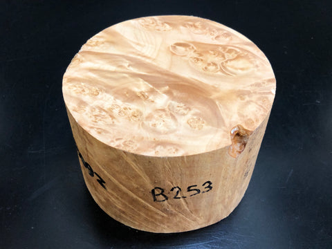 5"x3" KD Maple Burl Wood Bowl Turning Blank (#00253)