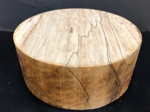 10"x4" KD Spalted Hard Maple Wood Bowl Turning Blank (#00128)