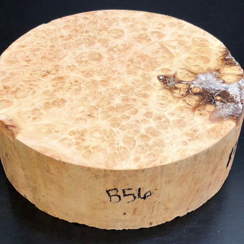 7"x2" KD Maple Burl Wood Platter Turning Blank (#0056)