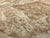 6"x3" KD Maple Burl Wood Bowl Turning Blank (#0058)