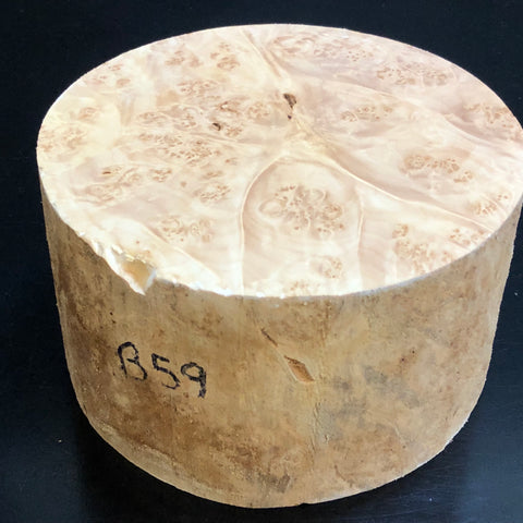 6"x3" KD Maple Burl Wood Bowl Turning Blank (#0059)