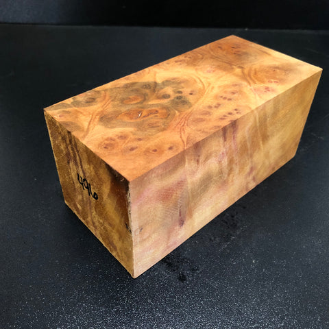 2.75"x2.75"x5.75" Camphor Burl Wood Spindle Turning Blank (#00496)
