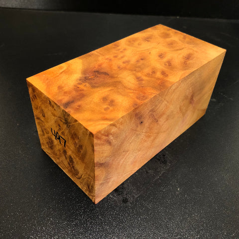 2.75"x2.75"x5.5" Camphor Burl Wood Spindle Turning Blank (#00497)